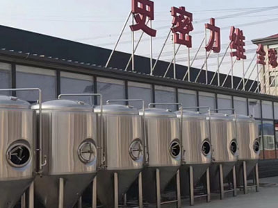 大安精酿啤酒设备厂—如何判断精酿啤酒设备的密封件需要更换？